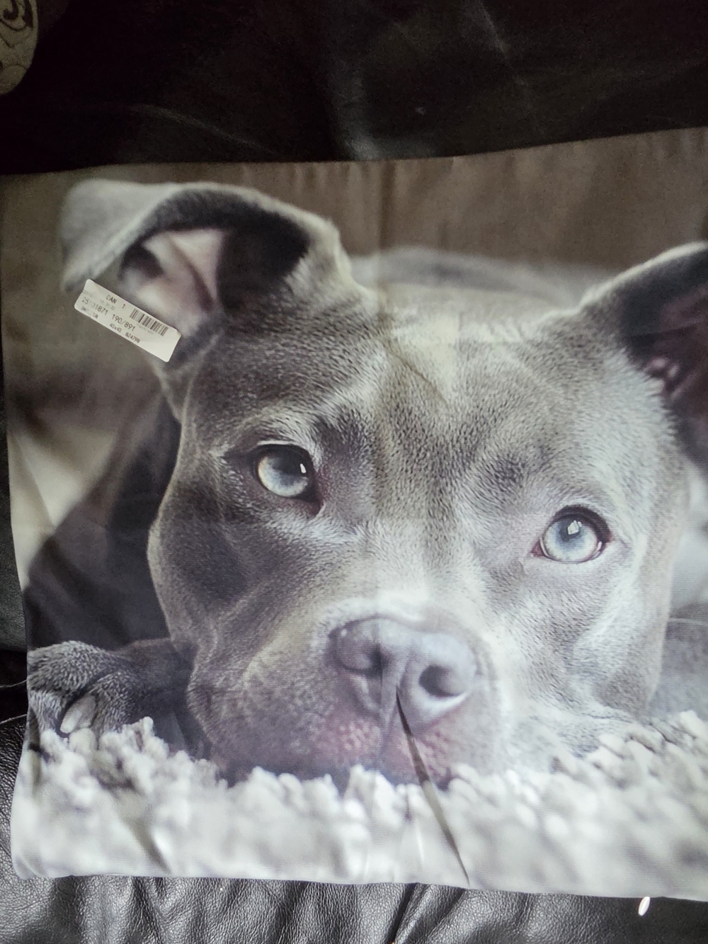 Grey Pitbull Photo Accent Pillow Case 17.5"×17.5" NWT - Picture 3 of 7